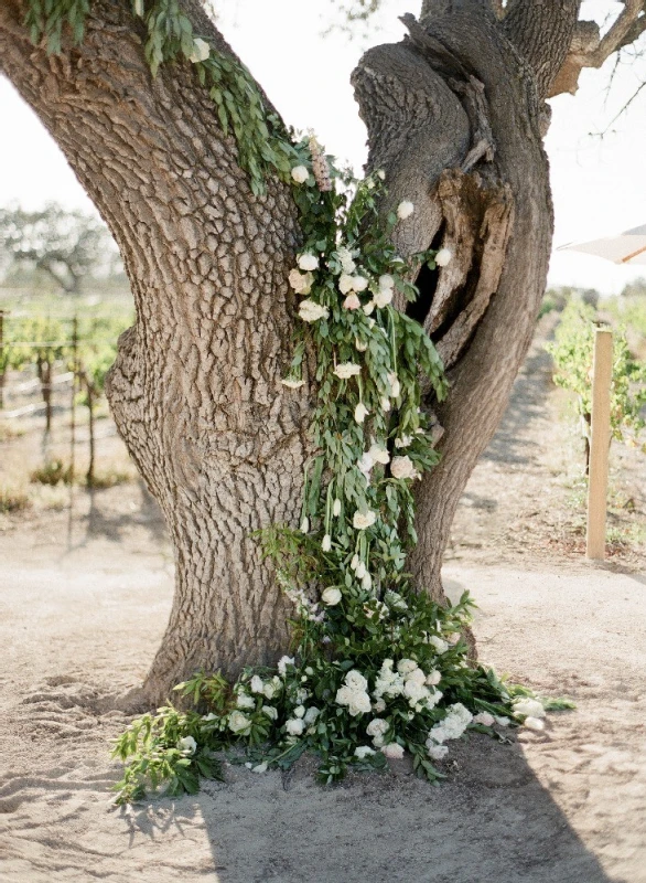 A Wedding for Brie and Rafael