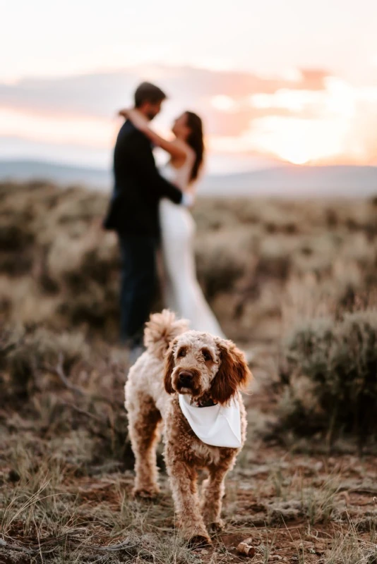 A Desert Wedding for Samantha and Zach