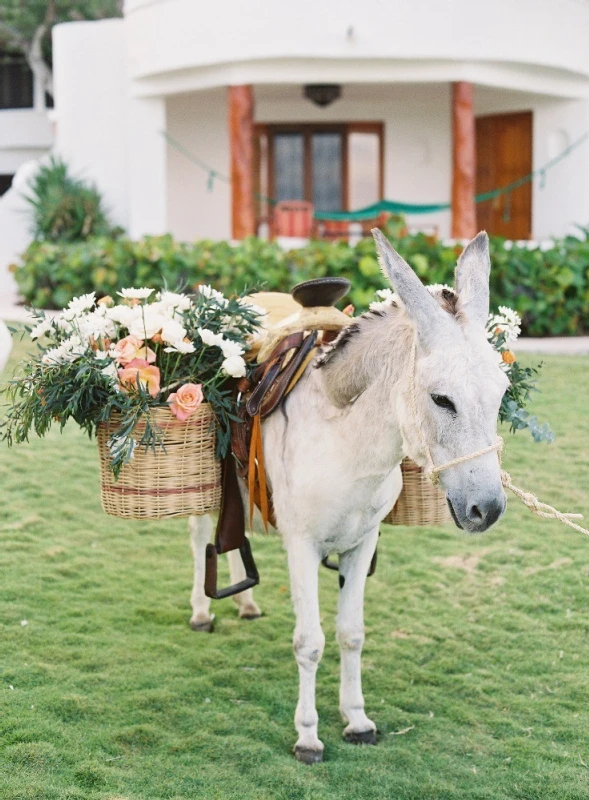 A Boho Wedding for Janie and Armando