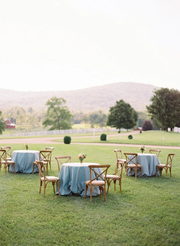 A Wedding for Ellie and Ted