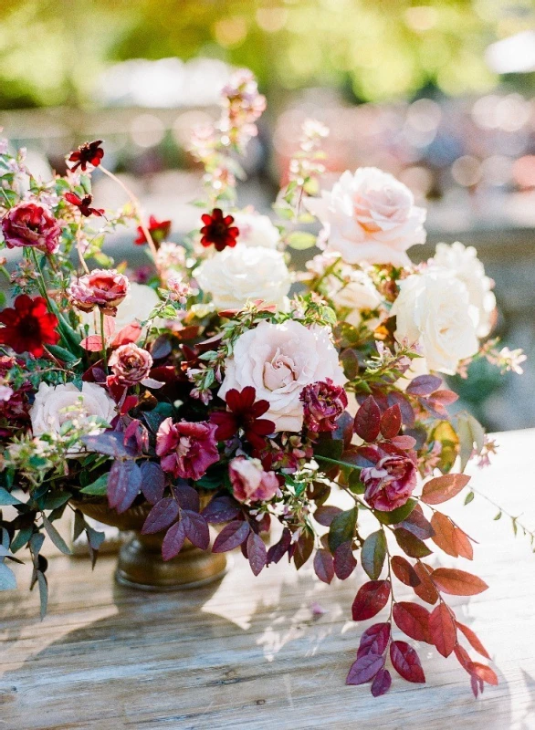 A Garden Wedding for Madeline and Clayton