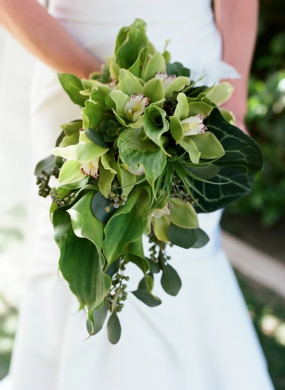 A Wedding for Molly and Ted