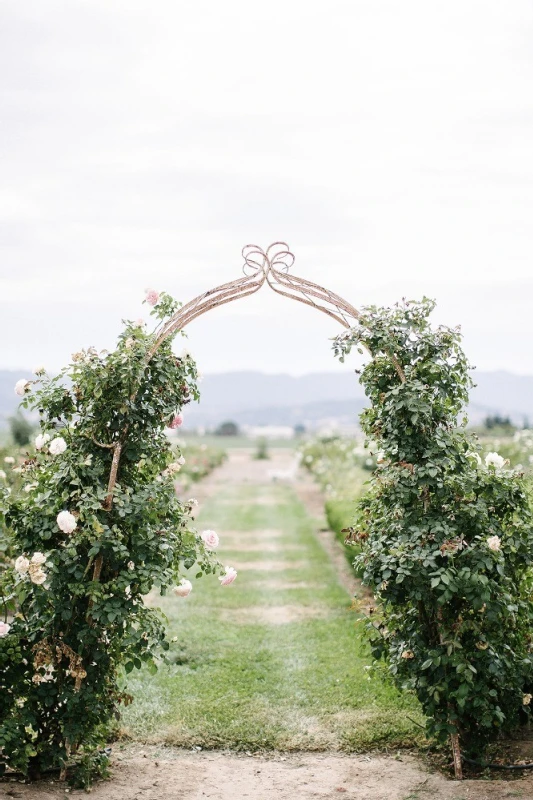 A Wedding for Caitlin and Tyler