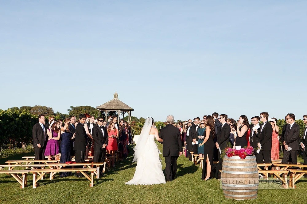 A Wedding for Sophie and Dan