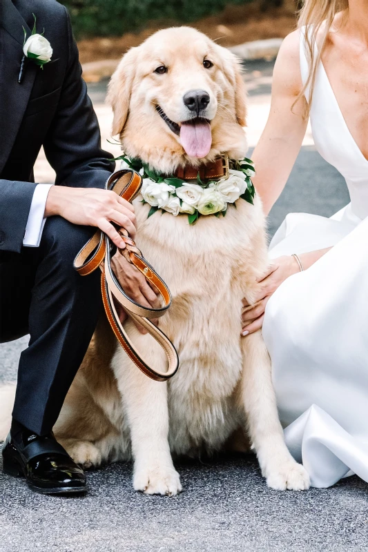 A Classic Wedding for Brittany and Eddie