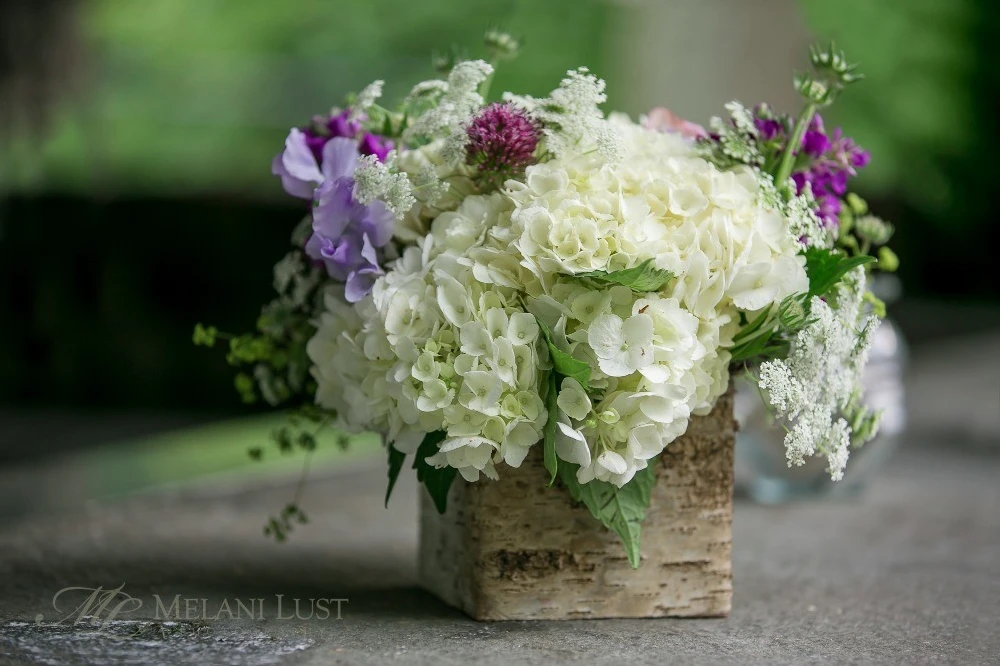 A Wedding for Lauren and Justin