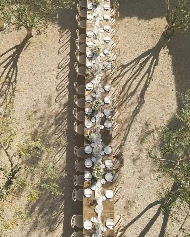 A Vineyard Wedding for Cara and Colin