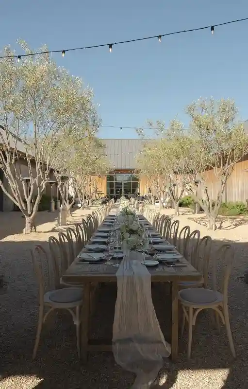 A Vineyard Wedding for Cara and Colin