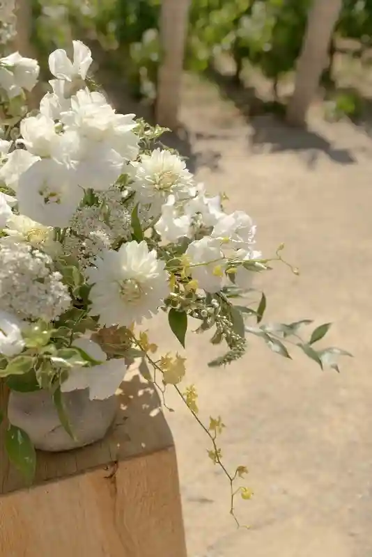 A Vineyard Wedding for Cara and Colin