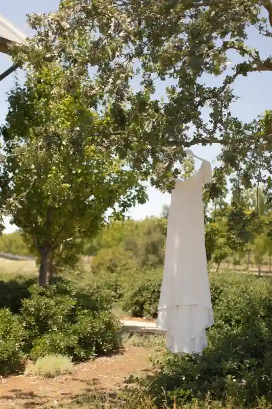 A Vineyard Wedding for Cara and Colin