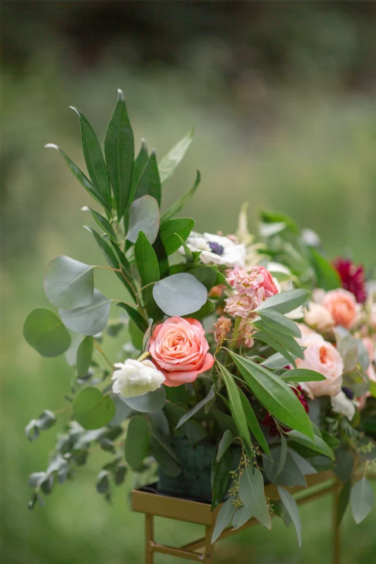 A Mountain Wedding for Catie and Tim