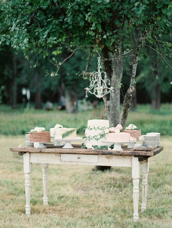 A Wedding for Emily and Pedro