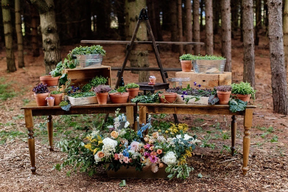 A Forest Wedding for Ali and John