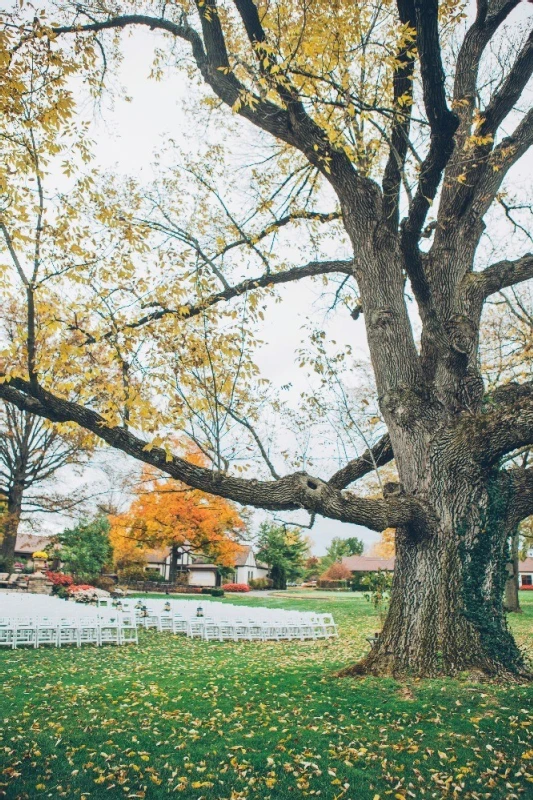 A Wedding for Amanda and Ben