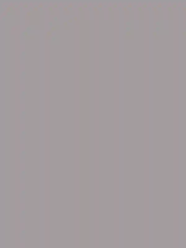 A Worldly Wedding for Chloé and Kumail