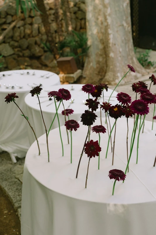 A Mallorcan Garden Wedding Straight Out of an Art-House Film