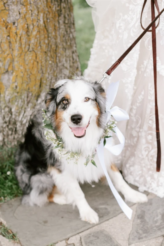 A Formal Wedding for Colleen and Robert