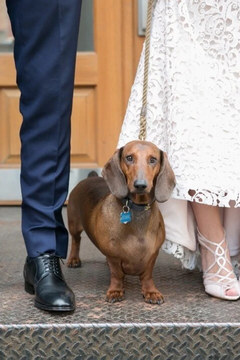 A Wedding for Alex and Ben