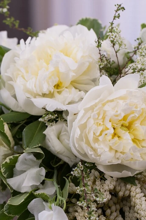 Badger's Flowers & Co.