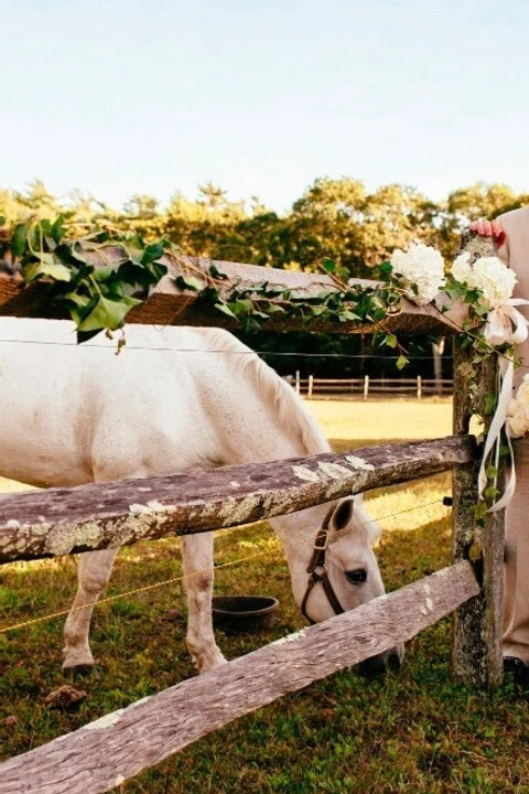 A Wedding for Kelly and Kevin