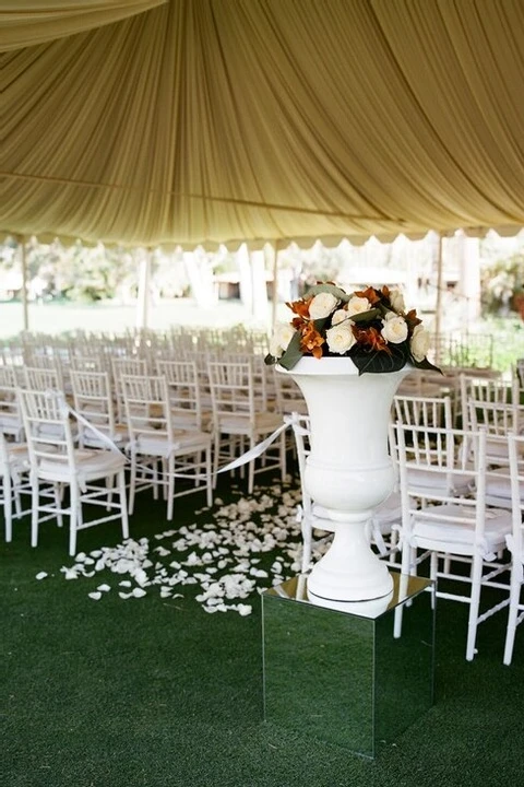 A Wedding for Molly and Ted