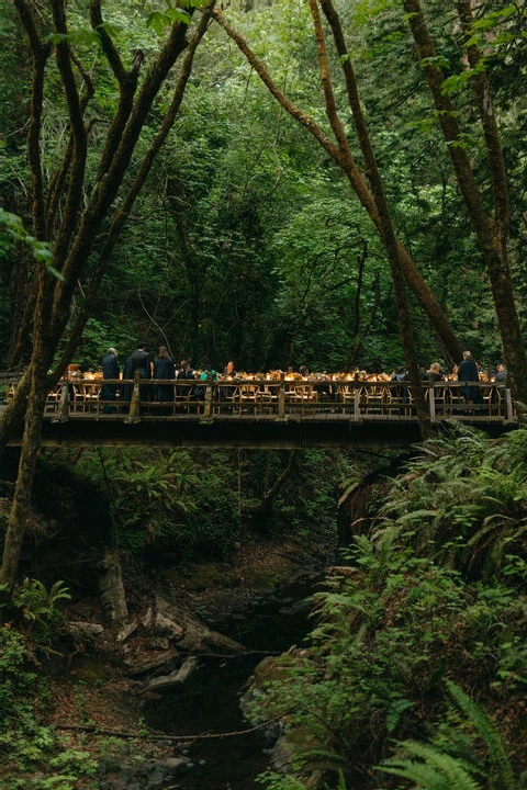 A Forest Wedding for Alison and Matthew