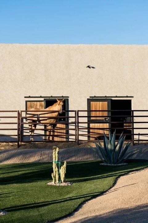 A Desert Wedding for Brooke and Jordan