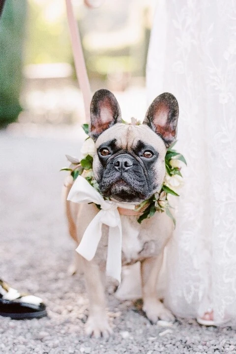 A Garden Wedding for Madeline and Clayton