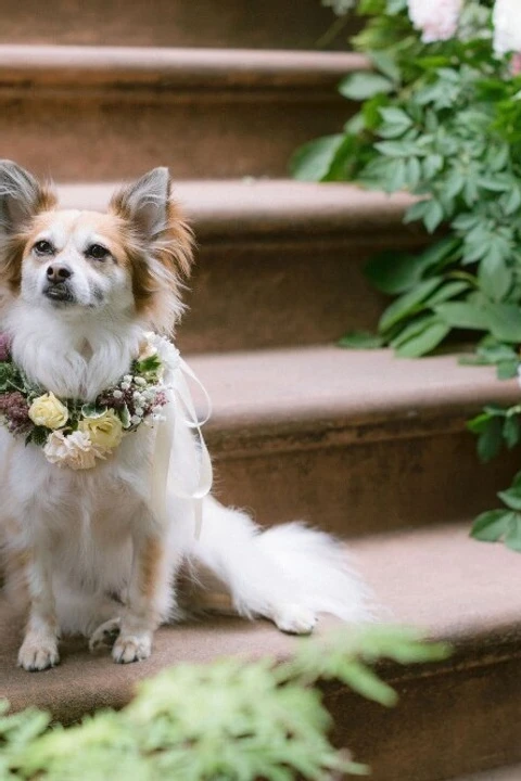 An Intimate Wedding for Zoe and Star