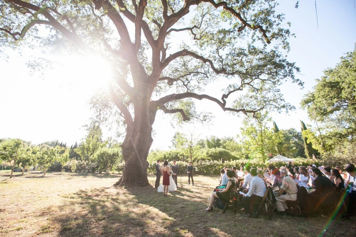 A Wedding for Kyoko and Oliver