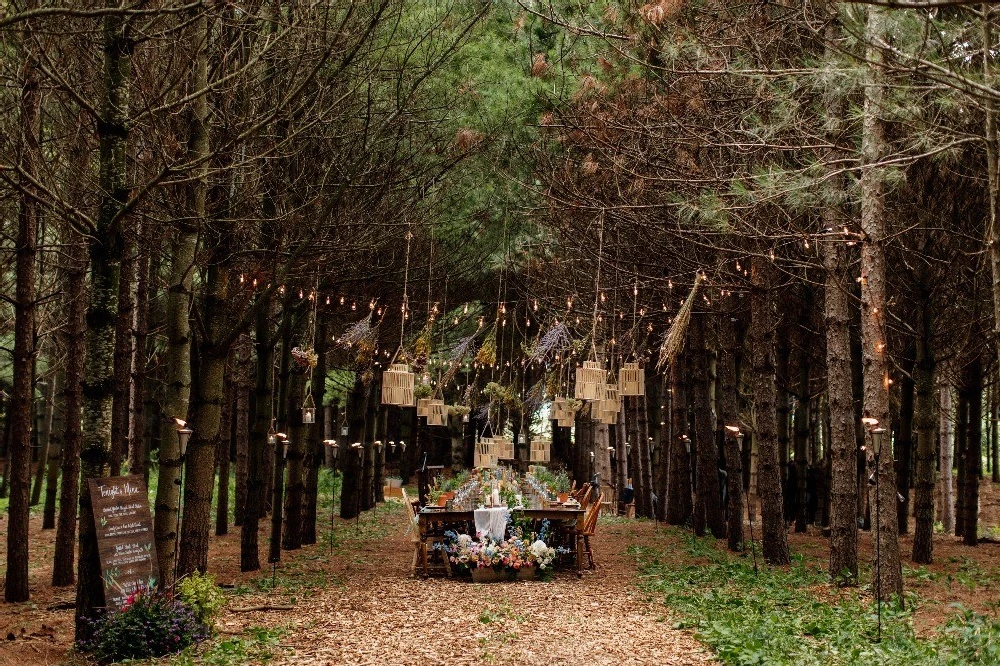 A Forest Wedding for Ali and John