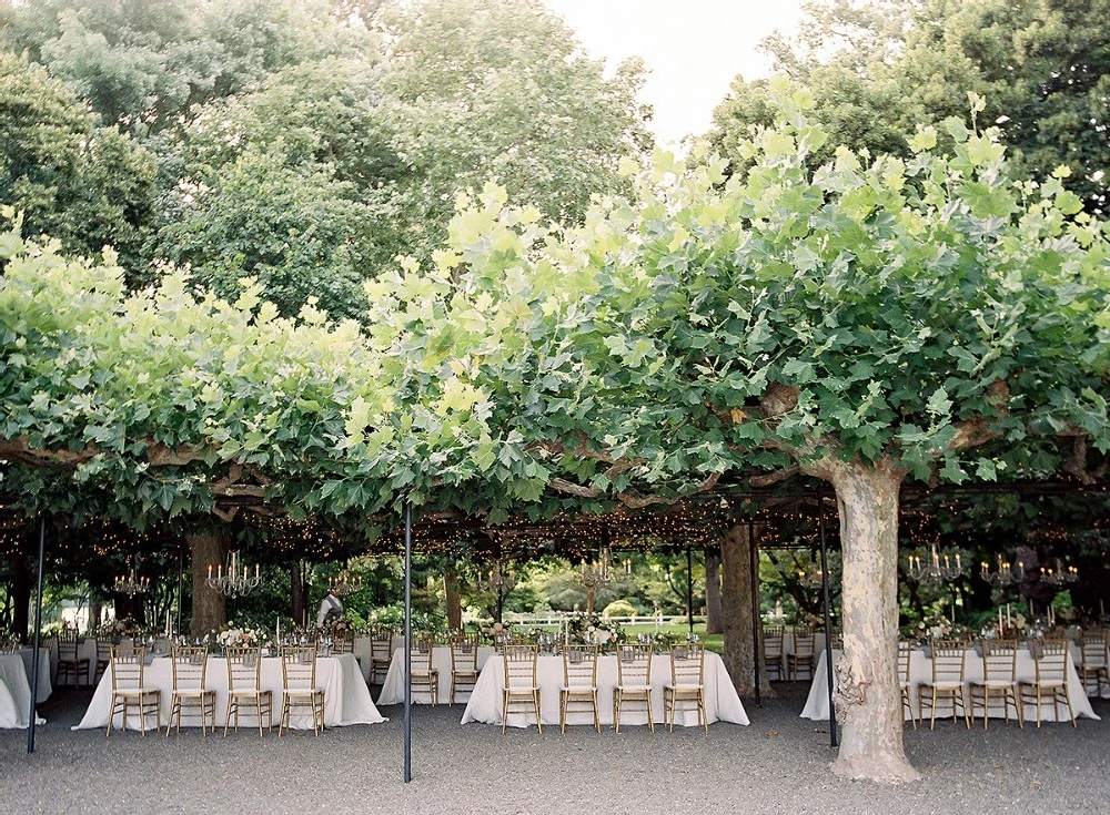 A Classic Wedding for Lily and Charles