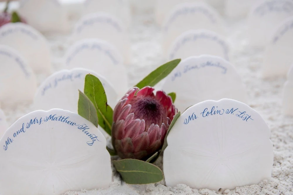 A Beach Wedding for Savannah and Miles