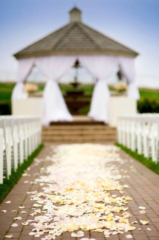 A Wedding for Annie and Andrew