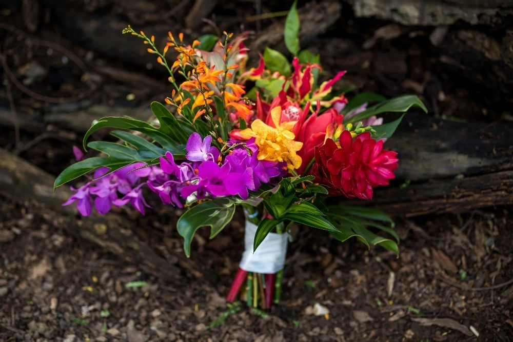 A Beach Wedding for Haley and Mike