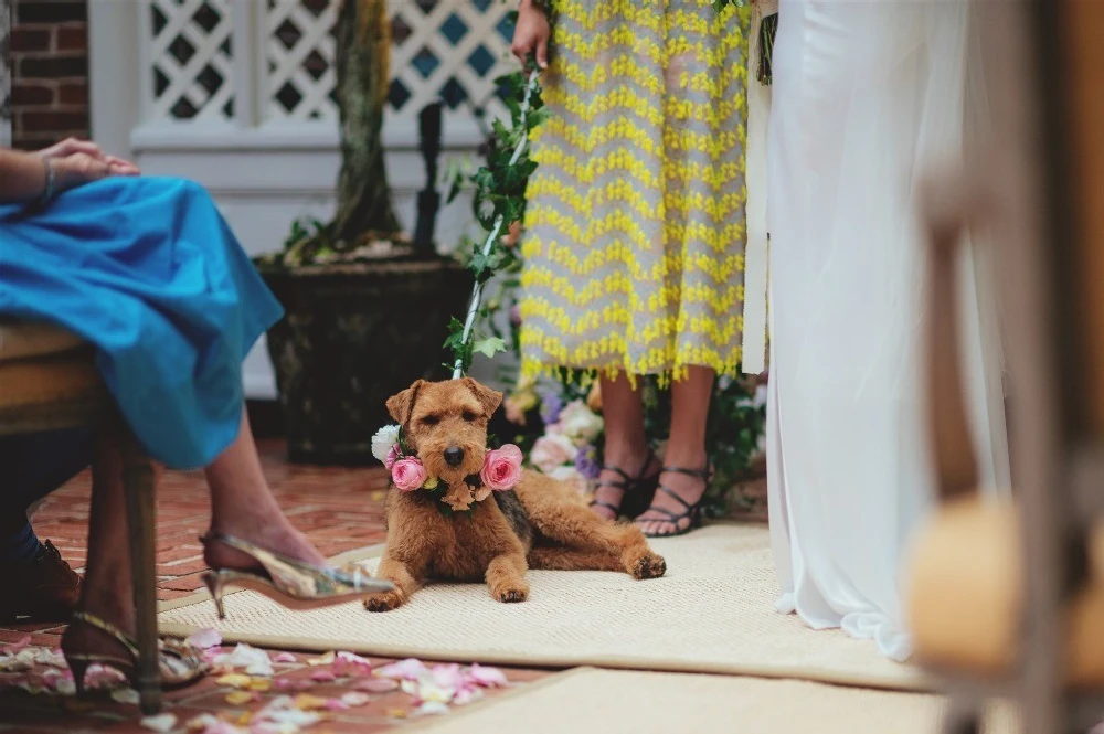 An Outdoor Wedding for Liz and John