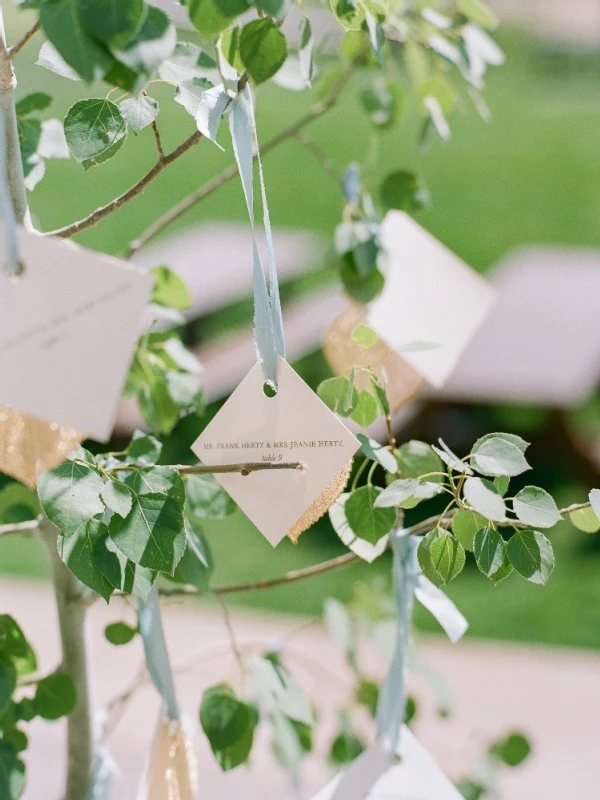 An Outdoor Wedding for Colleen and Tony