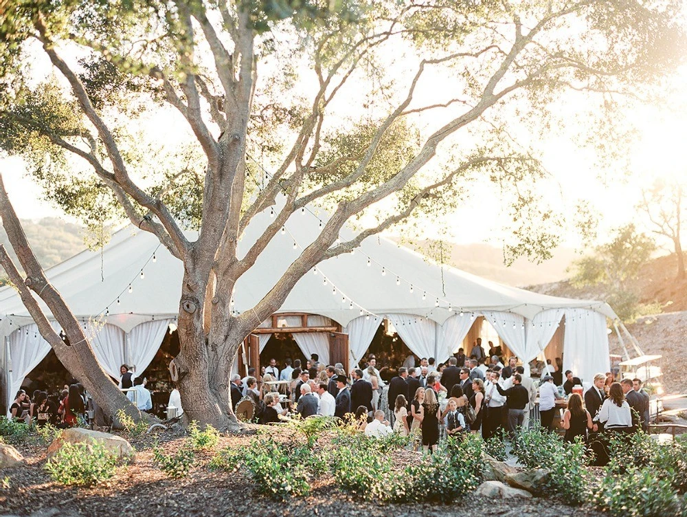 A Wedding for Stephanie and Gavin