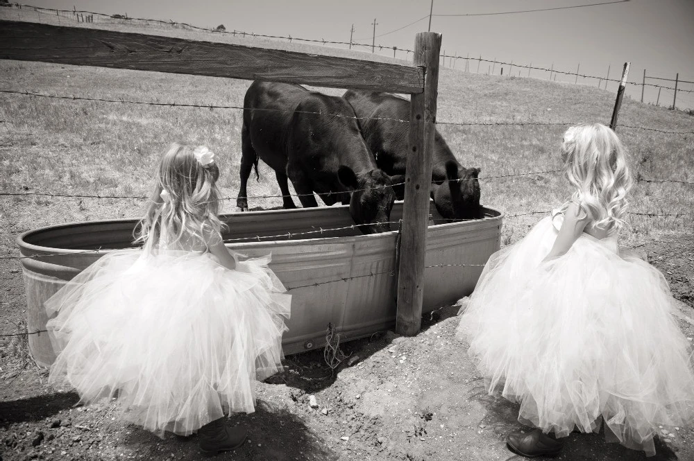 A Wedding for Erin and Cliff