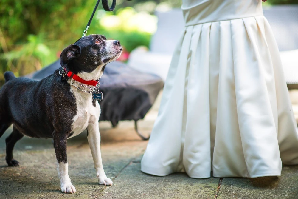 A Wedding for Becca and Joshua