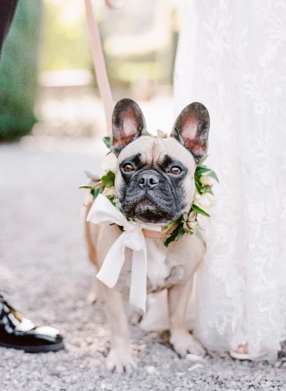 A Garden Wedding for Madeline and Clayton