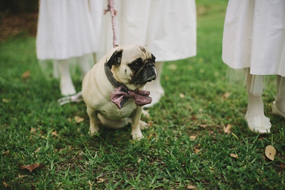 A Wedding for Caroline and Robert