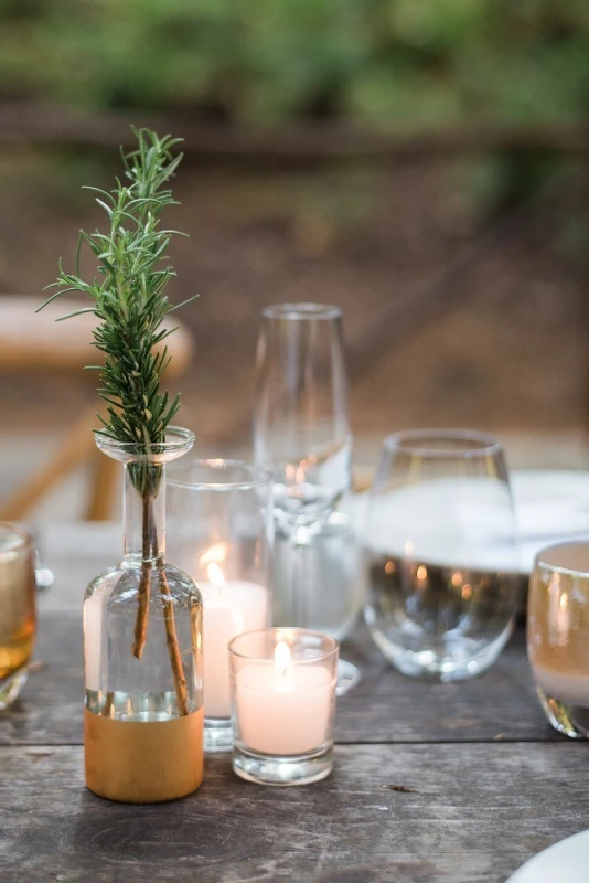 A Forest Wedding for Tina and Bj