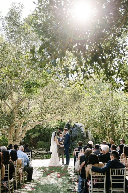 A Wedding for Susan and Steven