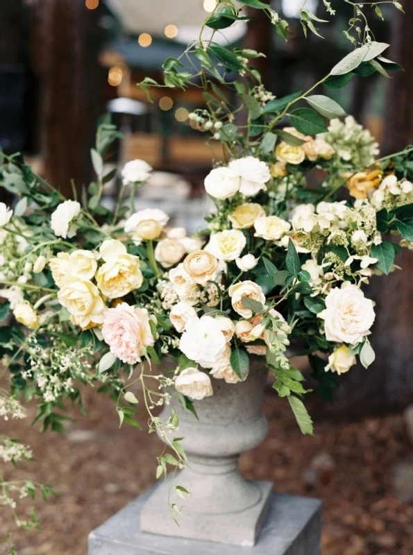 An Outdoor Wedding for Lauren and Shane