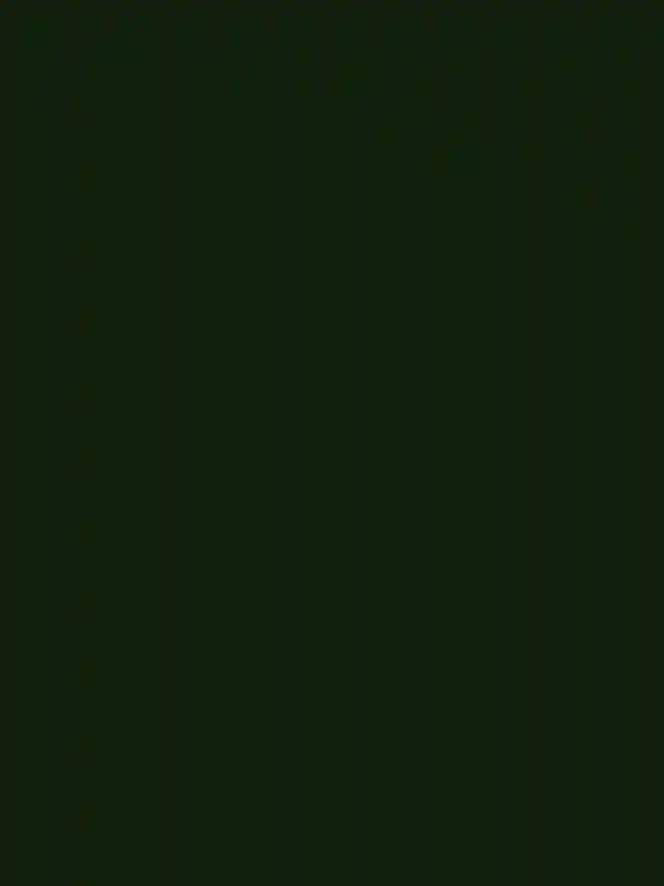 A Ranch Wedding for Emma and Derek