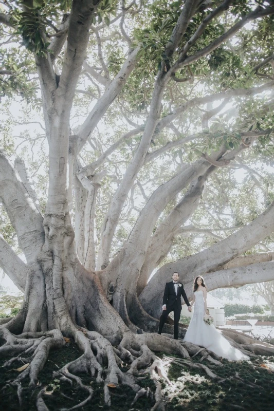 A Wedding for Cristina and Chicago