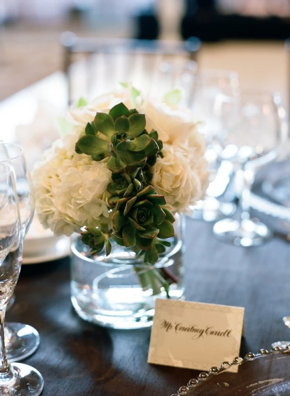 A Wedding for Molly and Ted