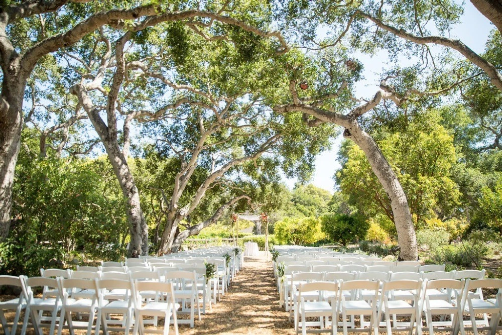 A Wedding for Jessica and Max