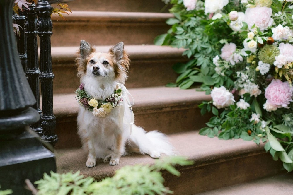 An Intimate Wedding for Zoe and Star